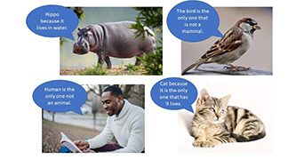 Odd One out worksheet