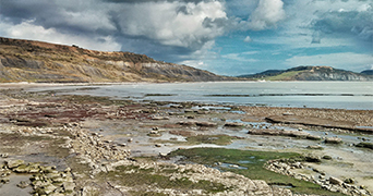 Jurassic Landscape