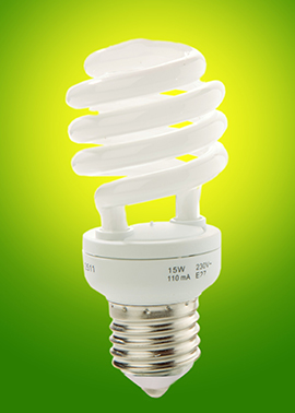 Bulb