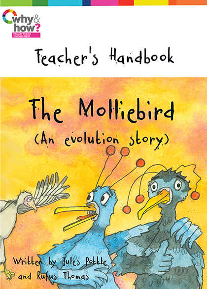 Teachers handbook front cover for book the Molliebird features three birds