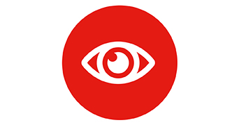Icon of an eye