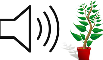 Microphone and plant illustration