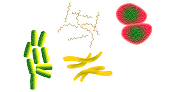 Illustration of microbes