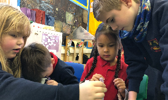 pupils conducting a science investigation in school