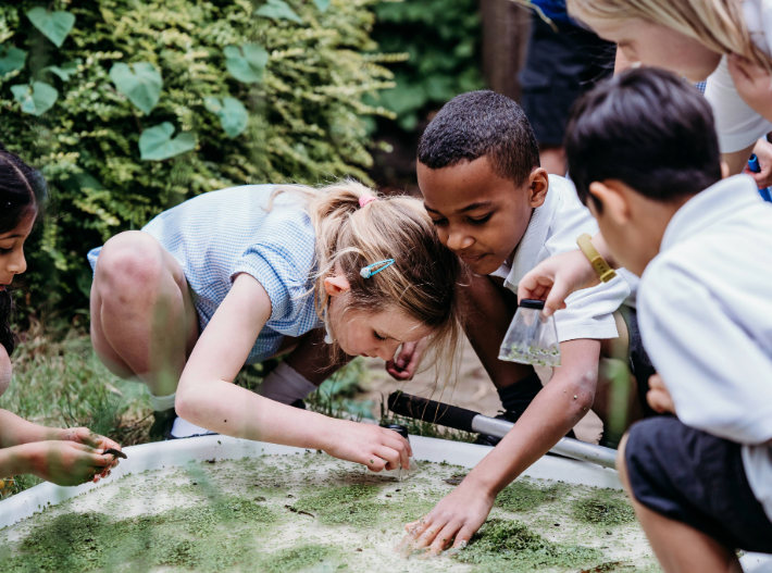 primary children observing living things outdoors