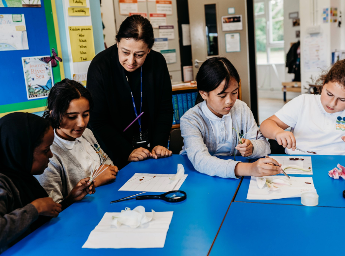a teacher and upper primary children observing parts of a flower