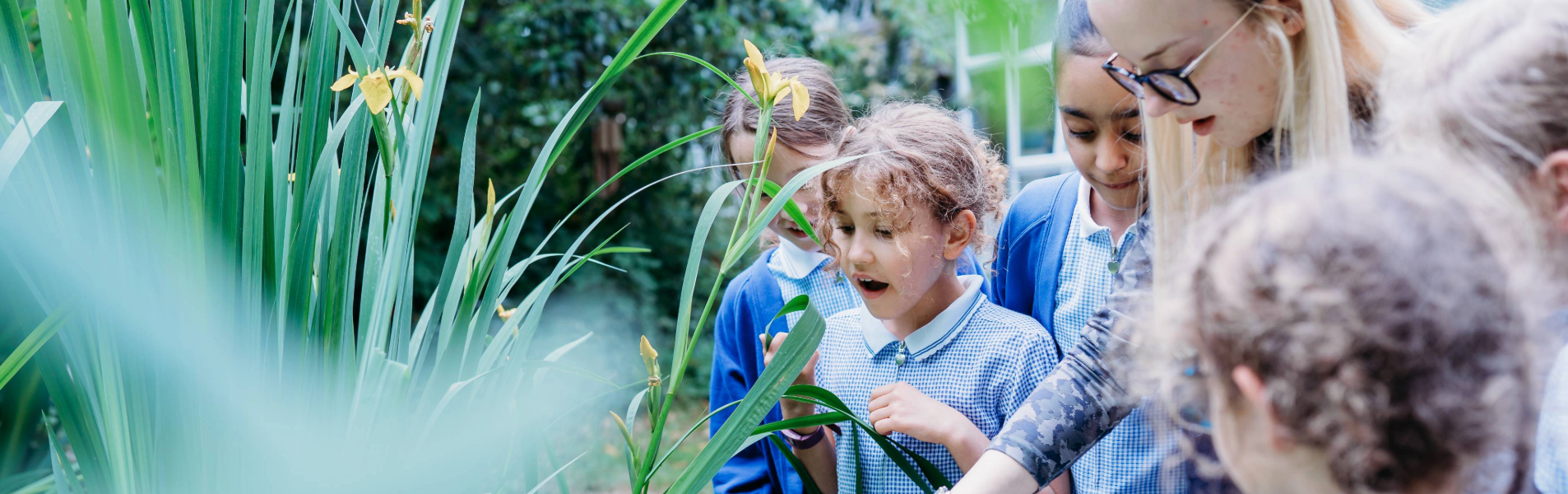 a teacher and primary pupils observing living things in their outside garden pond