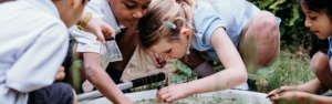 primary children observing living things in their school's outdoor pond