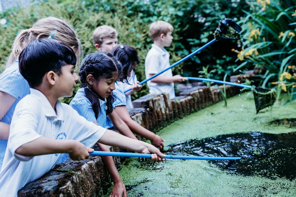 Six children pond dipping with nets
