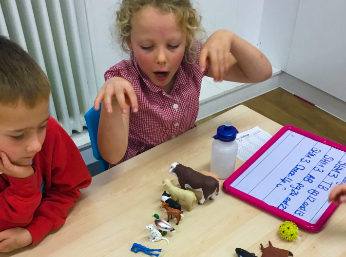 Primary school children using toy animals to record and discuss their observations during a science activity